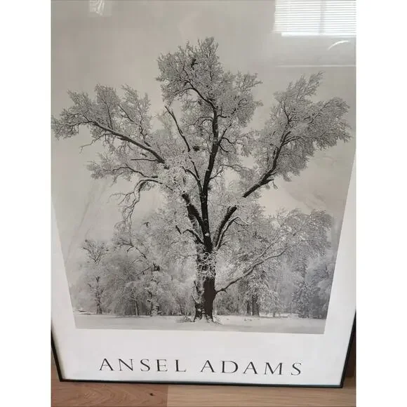 Ansel Adams “Oak Tree, Snowstorm” Yosemite National Park 1984 – Large Print